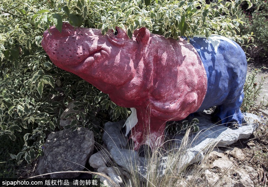 “河馬小鎮(zhèn)”美國胡托 街頭遍布河馬雕塑
