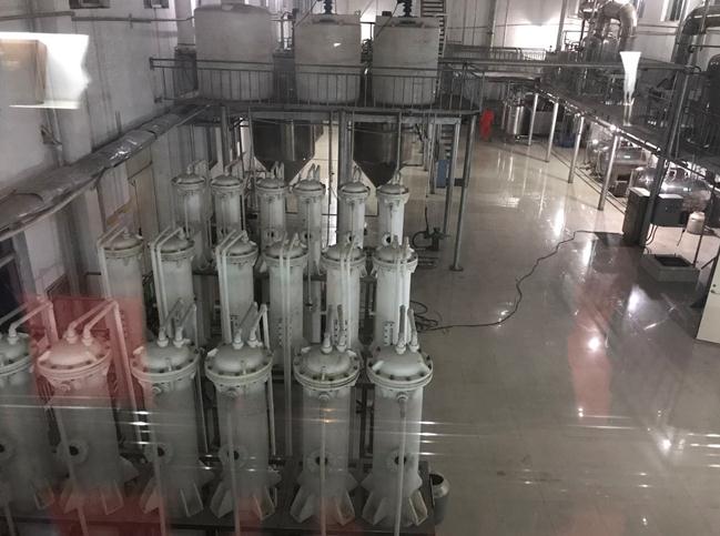 荒漠化防治與經濟效益并行：鄂爾多斯沙棘產業“綠色崛起”