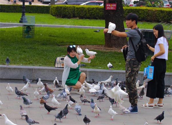 【老外談】發(fā)現(xiàn)大連—中國(guó)東北繁榮的海港城市