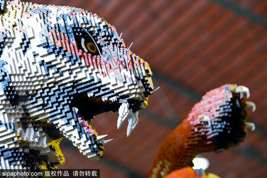 比利時(shí)樂高迷的天堂！世界最大樂高玩具體驗(yàn)中心