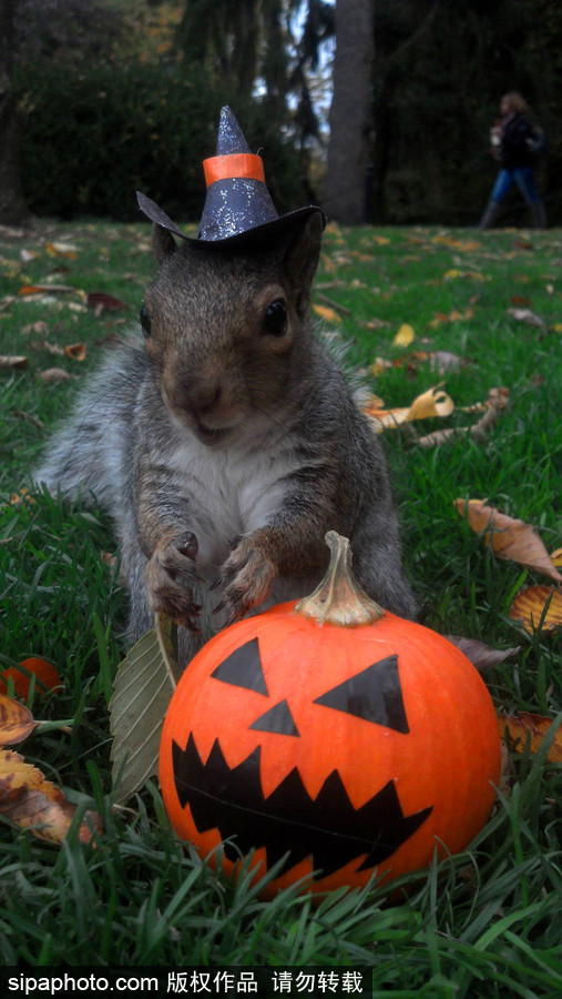 松鼠愛打扮！ 美國社交障礙女生擺拍松鼠一夜爆紅