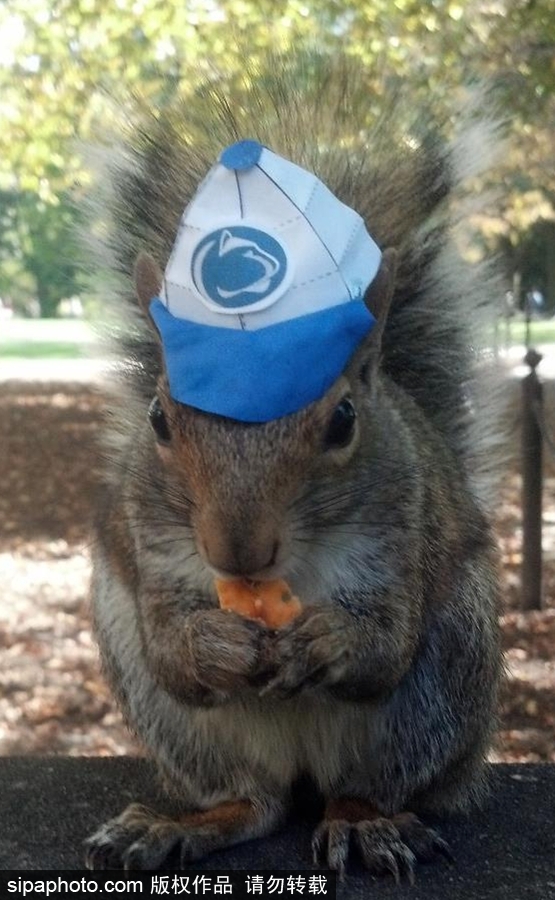 松鼠愛打扮！ 美國社交障礙女生擺拍松鼠一夜爆紅
