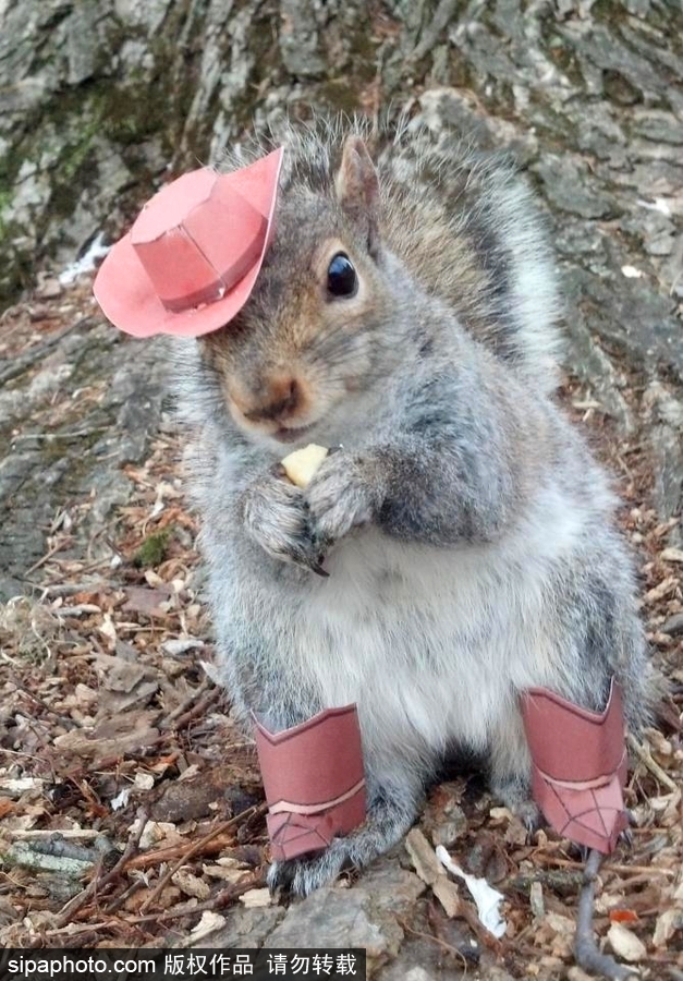 松鼠愛打扮！ 美國(guó)社交障礙女生擺拍松鼠一夜爆紅