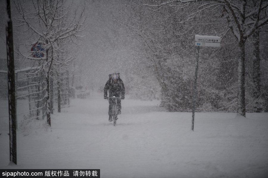 瑞典迎來今年第一場降雪 嚴(yán)重影響當(dāng)?shù)亟煌?/></p>

<p align=