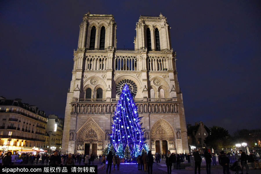 巴黎圣母院前圣誕樹亮燈 迎接圣誕節到來