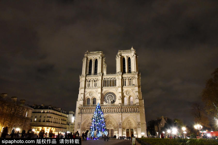 巴黎圣母院前圣誕樹亮燈 迎接圣誕節到來