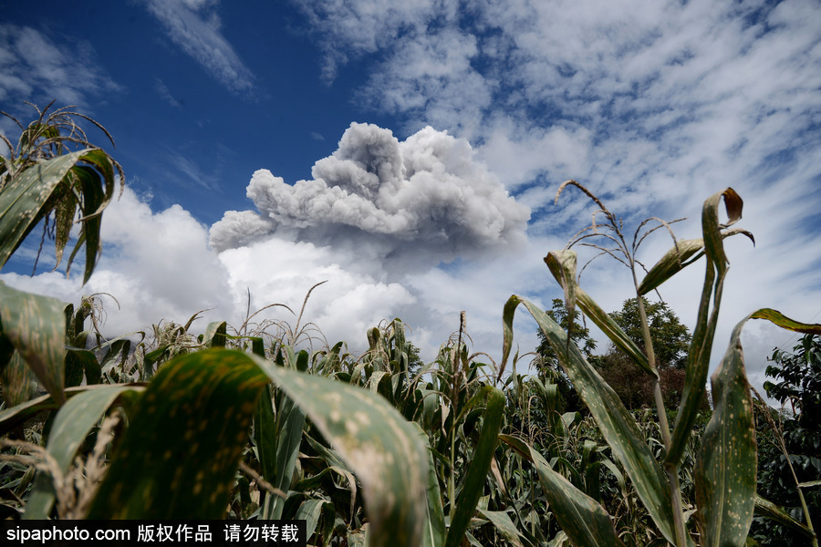 印尼錫納朋火山持續噴發 煙霧遮天蔽日