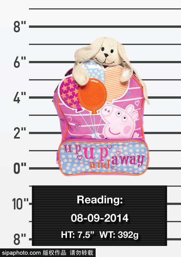 迷路的小伙伴 現實版帕丁頓熊尋“主人”啟事