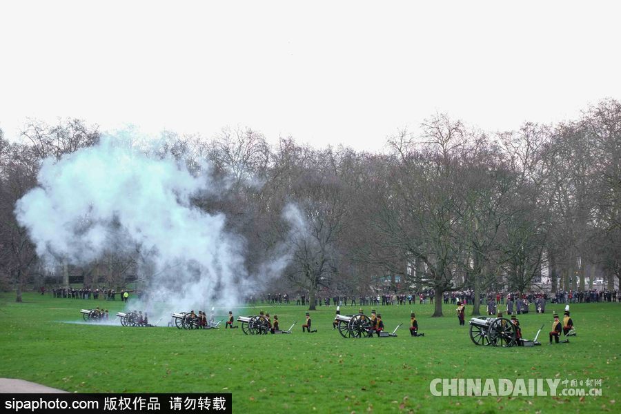 英女王登基66周年紀念 皇家騎兵炮兵團發(fā)射41響禮炮慶祝