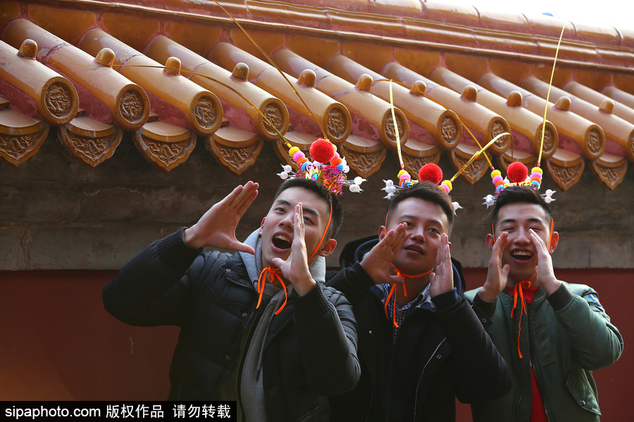 盤點春節廟會上年味十足的萌態頭飾 狗年發卡受熱捧