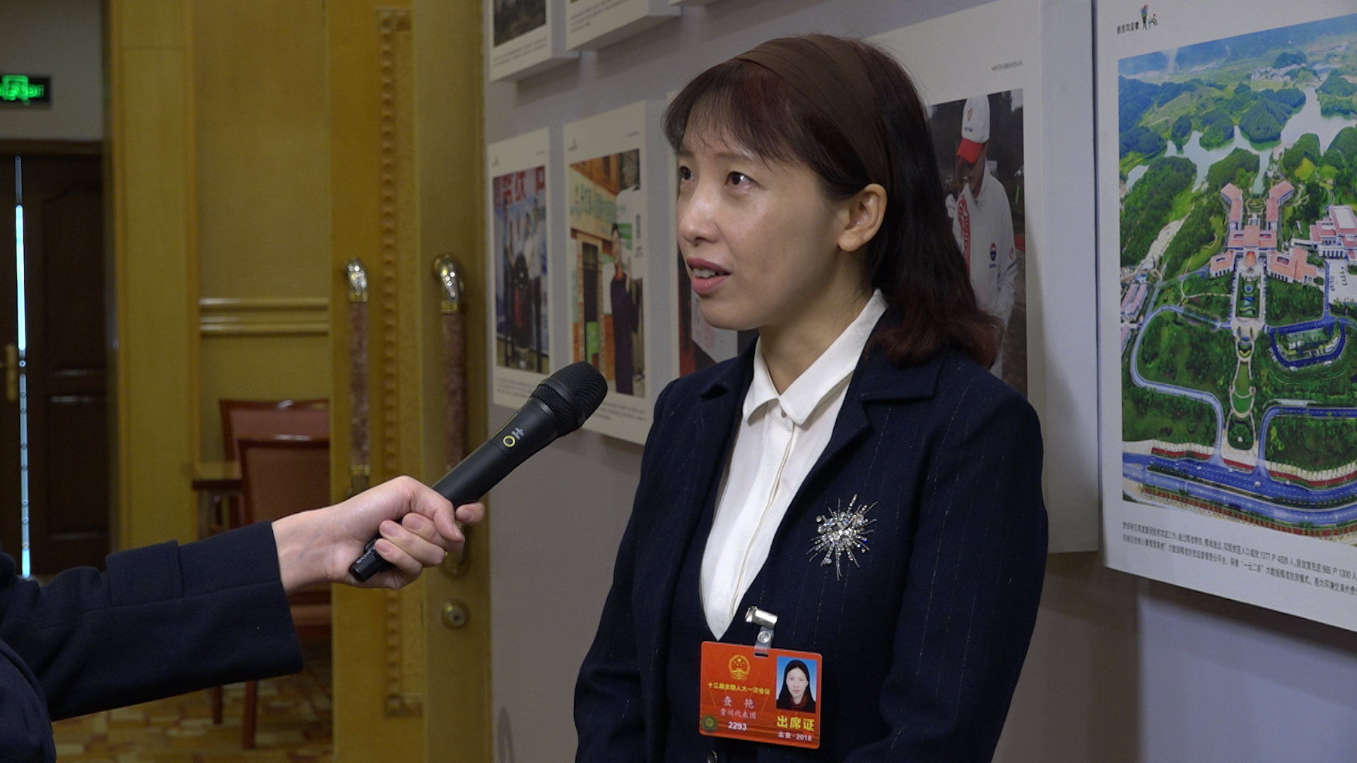 兩會代表委員秀英文！關于看病難他們有話說丨艾瑞克跑兩會