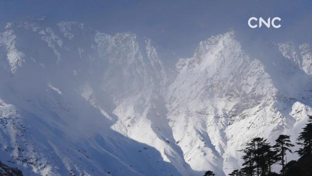 金句來習|“總書記，您好！我是卓嘎。”