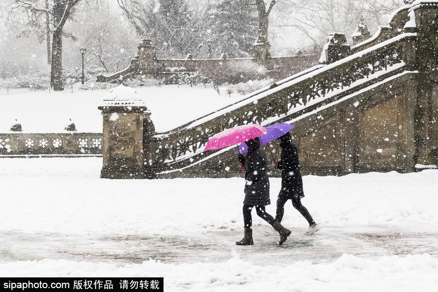 這波倒春寒來(lái)的迅猛！美國(guó)紐約遭遇暴雪天氣