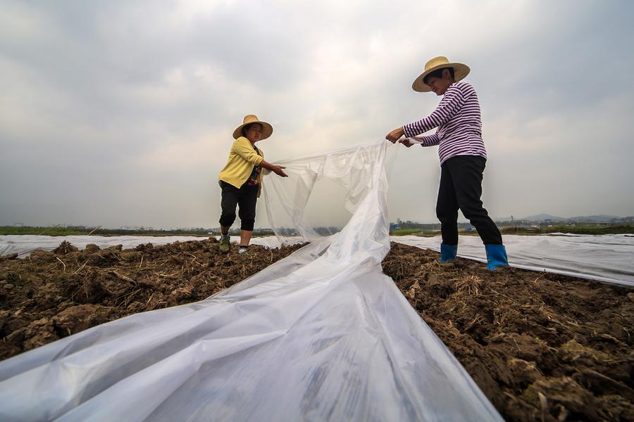 清明時節務農忙