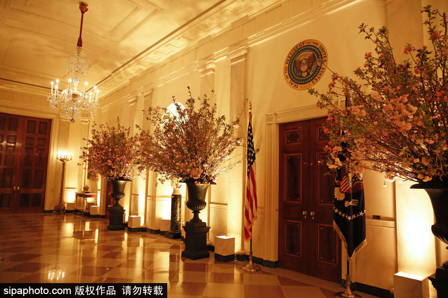 高貴又奢華！特朗普歡迎馬克龍宴會陳設曝光