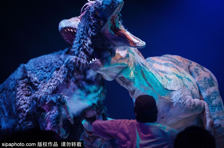 再現侏羅紀風云 日本東京“恐龍”現場表演場景震撼