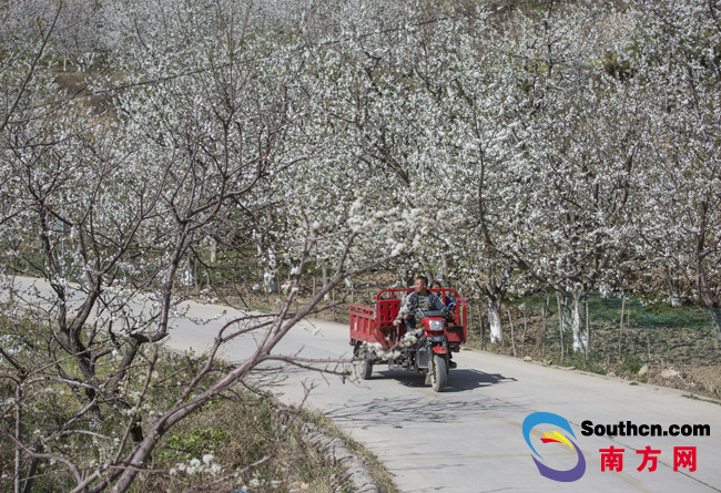 汶川重生:一座城市的十年蝶變