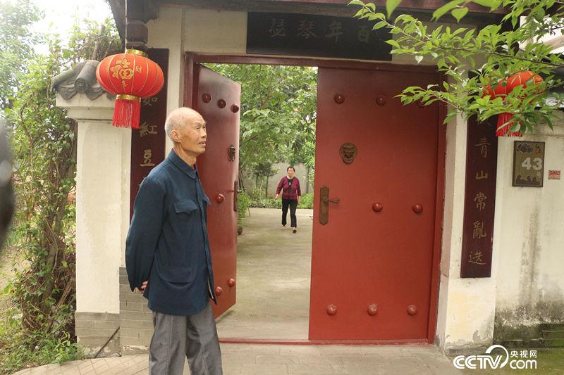 【汶川地震十年】千年紅豆樹 震后發新枝