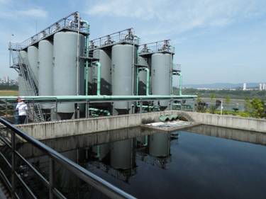 【美麗中國長江行】青山綠水還于民：探訪長壽區可持續綠色發展新道路