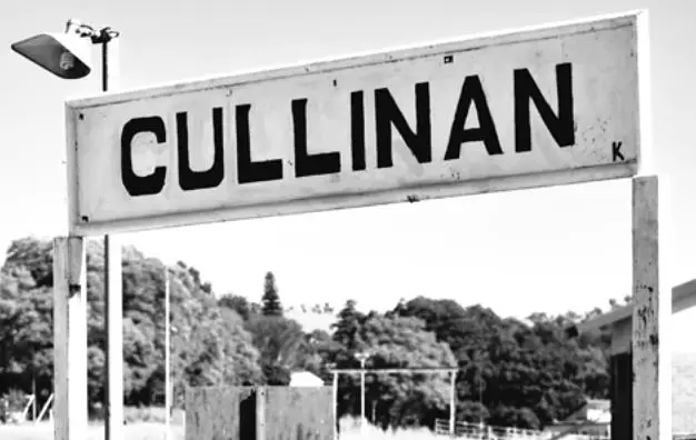 梅根鉆戒成“網紅”，哈里親手設計，致敬戴安娜，但和女王的鉆石庫里南比起來……