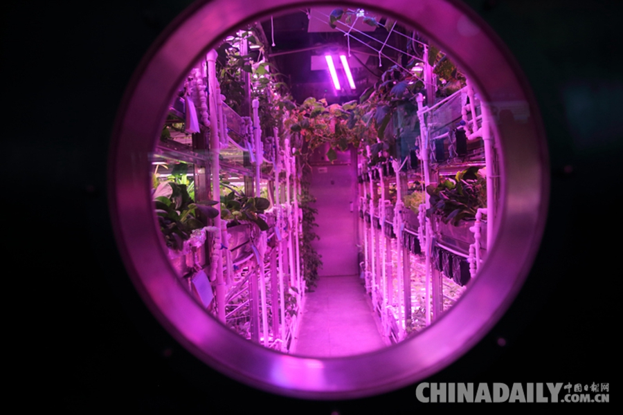 “月宮365實驗”今日出艙 再創世界紀錄