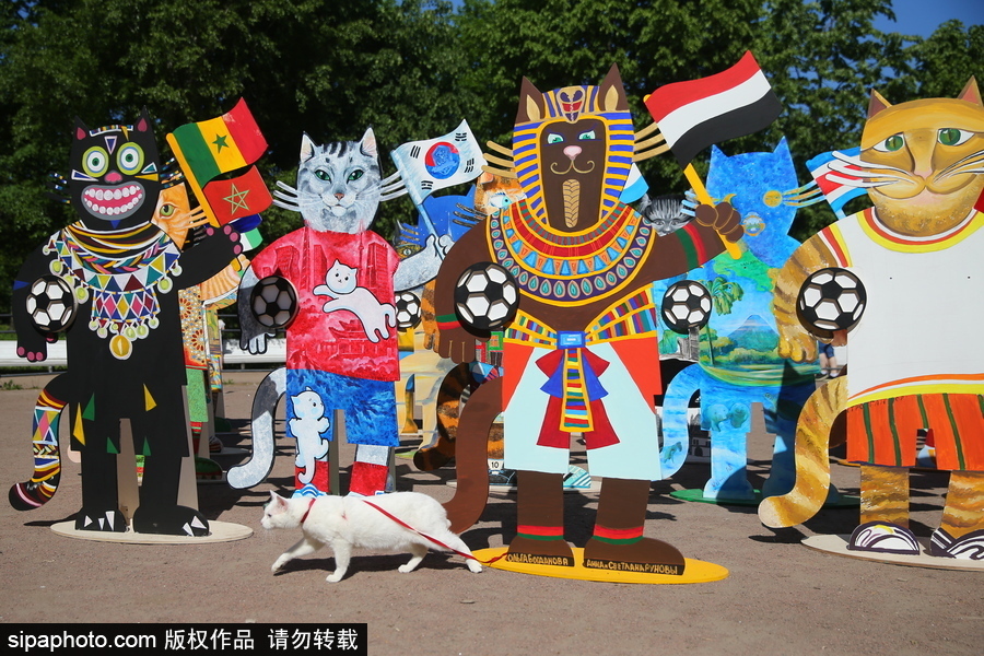 俄羅斯“預言貓”攜各國“貓咪”們現(xiàn)身 迎接2018世界杯到來