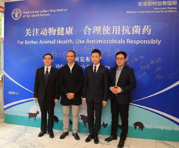 聯合國糧農組織和合作伙伴呼吁合理使用抗菌藥