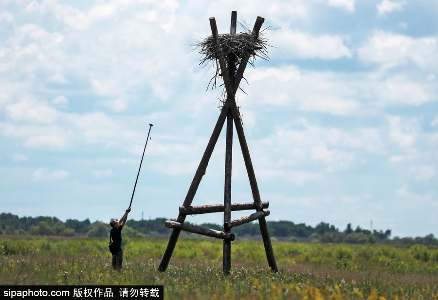 遠離塵囂的動物棲息地 探訪俄羅斯別廖佐夫斯基自然保護區