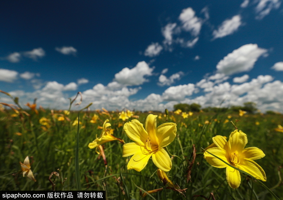 遠離塵囂的動物棲息地 探訪俄羅斯別廖佐夫斯基自然保護區(qū)