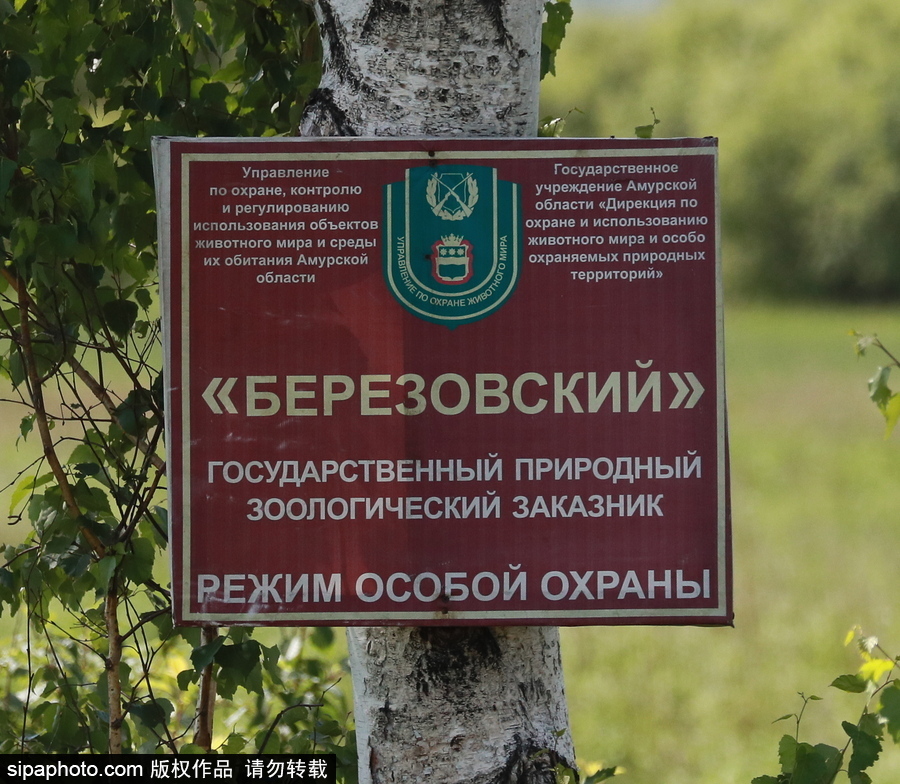 遠離塵囂的動物棲息地 探訪俄羅斯別廖佐夫斯基自然保護區