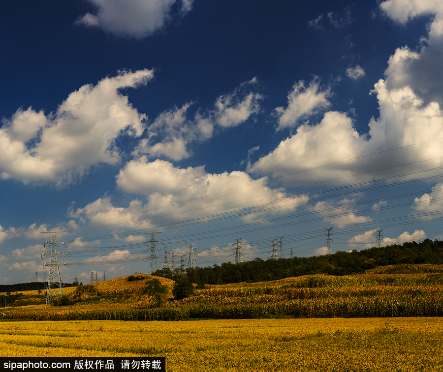藍天白云刷屏！盤點風清日朗的絕美風光 為眼睛降溫