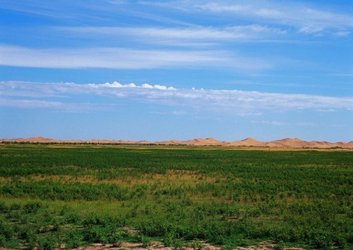 綠洲的世界奇跡：庫(kù)布其治沙創(chuàng)造5千億生態(tài)財(cái)富
