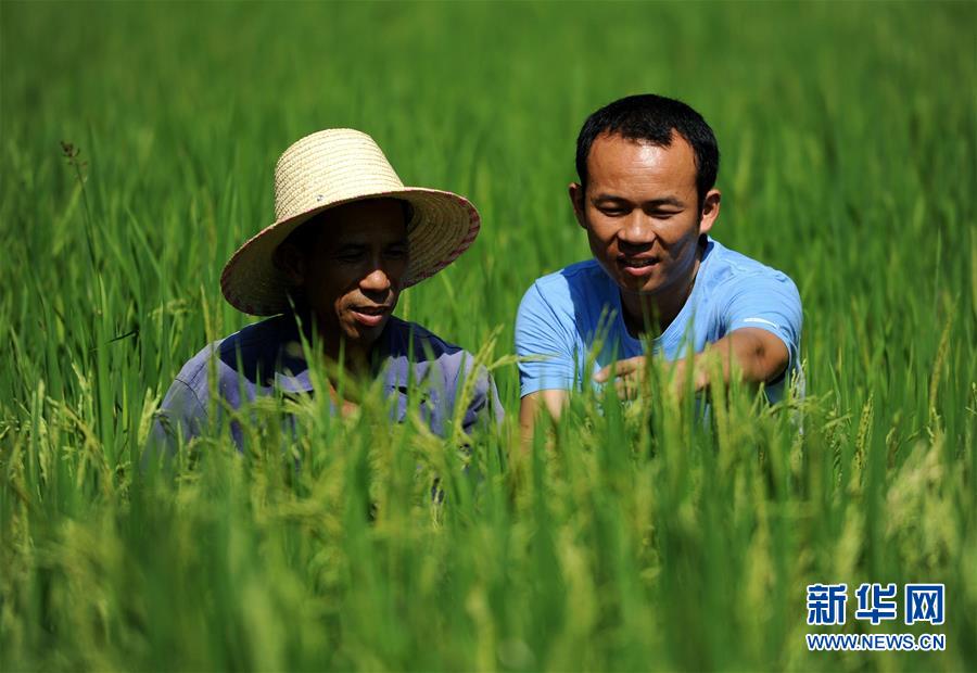 永不褪色的精神禮贊——獻給新時代的中國共產黨人