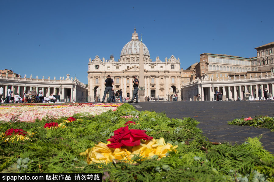 意大利羅馬舉行花毯節(jié) 鮮花地毯五彩繽紛美如畫(huà)
