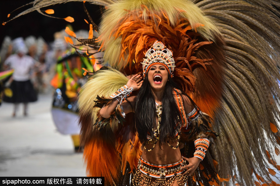 熱情似火的南美風(fēng)情 巴西帕林廷斯民俗節(jié)精彩上演