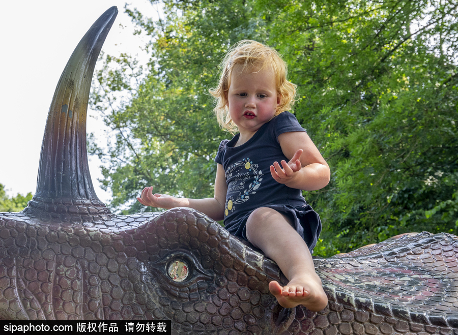 “侏羅紀王國”展覽首次亮相荷蘭 形象逼真似穿越回恐龍時代