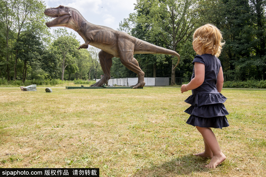 “侏羅紀(jì)王國”展覽首次亮相荷蘭 形象逼真似穿越回恐龍時代