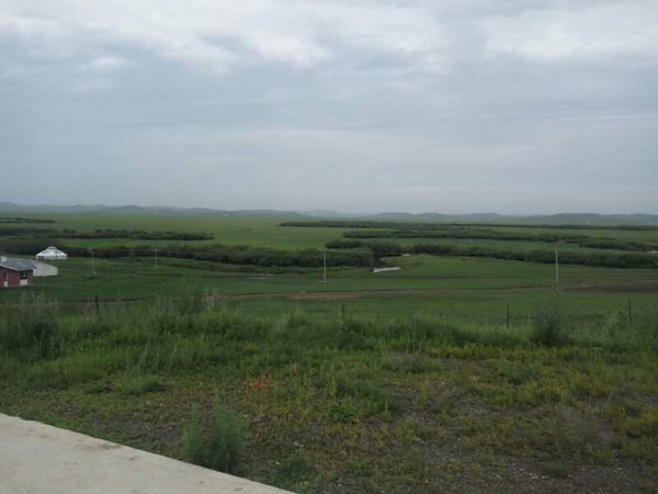 將環保進行到底！九曲彎建最原生態草原