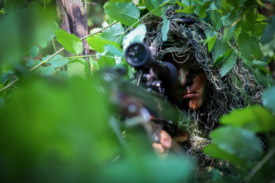 王牌出手！他們是戰場上的“狩獵者”