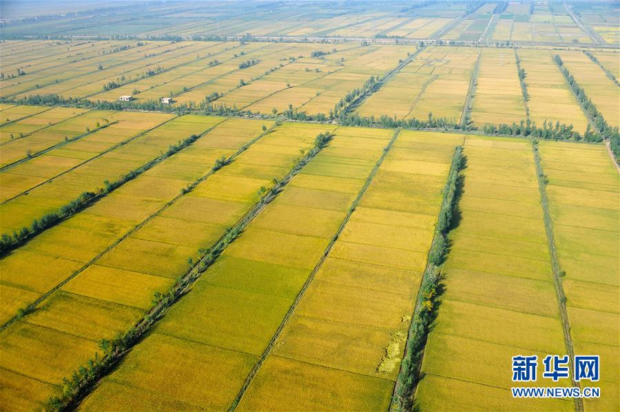 “好生態(tài)也能當飯吃”——解碼寧夏吳忠市的“綠色發(fā)展賬本”