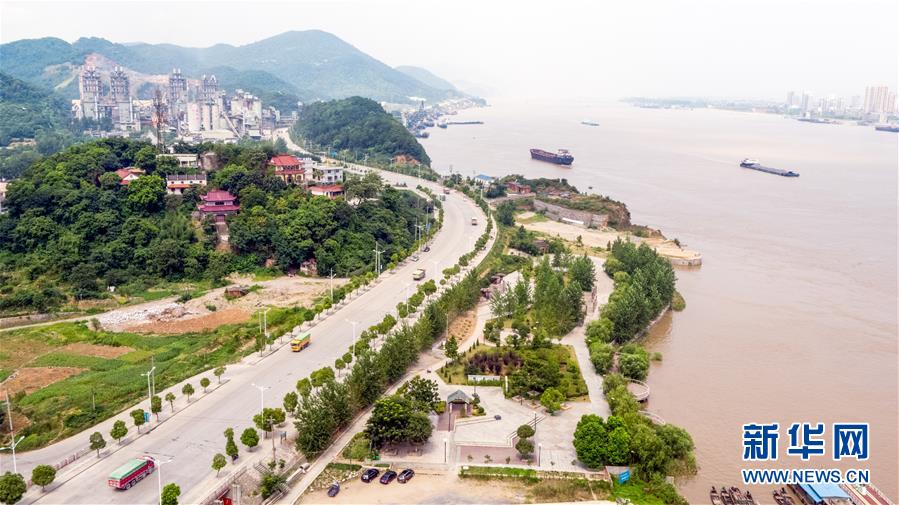 為了“一岸翠綠”——江西九江生態修復百里長江