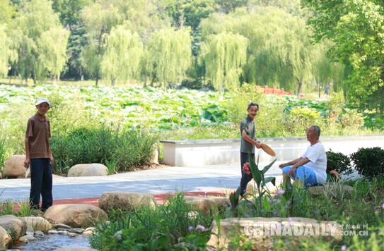 【發現長江】“一潭死水”變清流 安徽池州強力治理城市黑臭水體