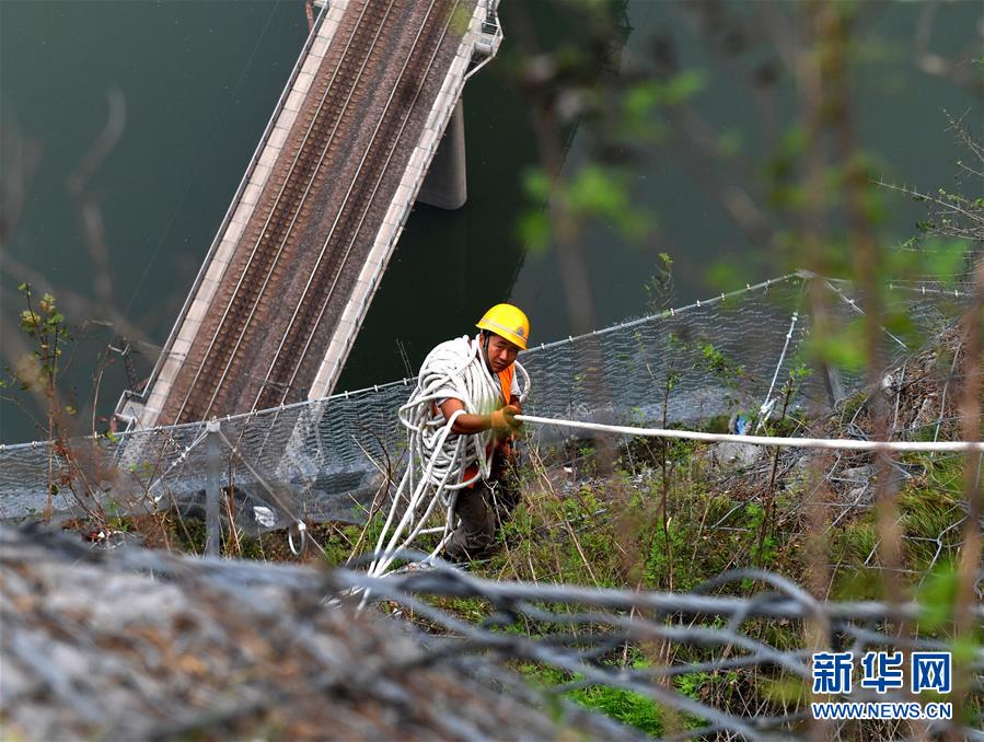 懸崖上的巖石“外科醫生”