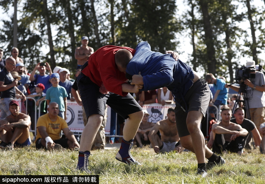 來(lái)自“戰(zhàn)斗民族”的力量比拼！俄羅斯坦波夫地區(qū)傳統(tǒng)體育比賽現(xiàn)場(chǎng)十分火熱