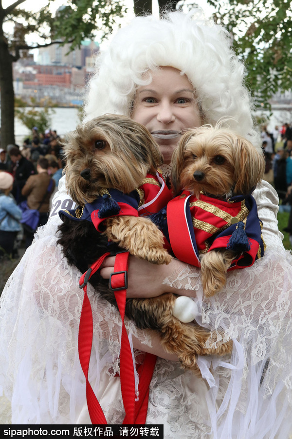 美國紐約：狗狗變身coser！第28屆湯普金斯廣場萬圣節狗狗游行萌翻全場