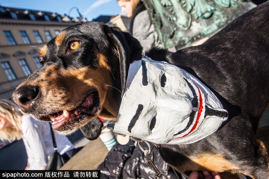 英國：蓋伊·?？怂怪暝俣热紵?！百萬面具游行在倫敦舉行