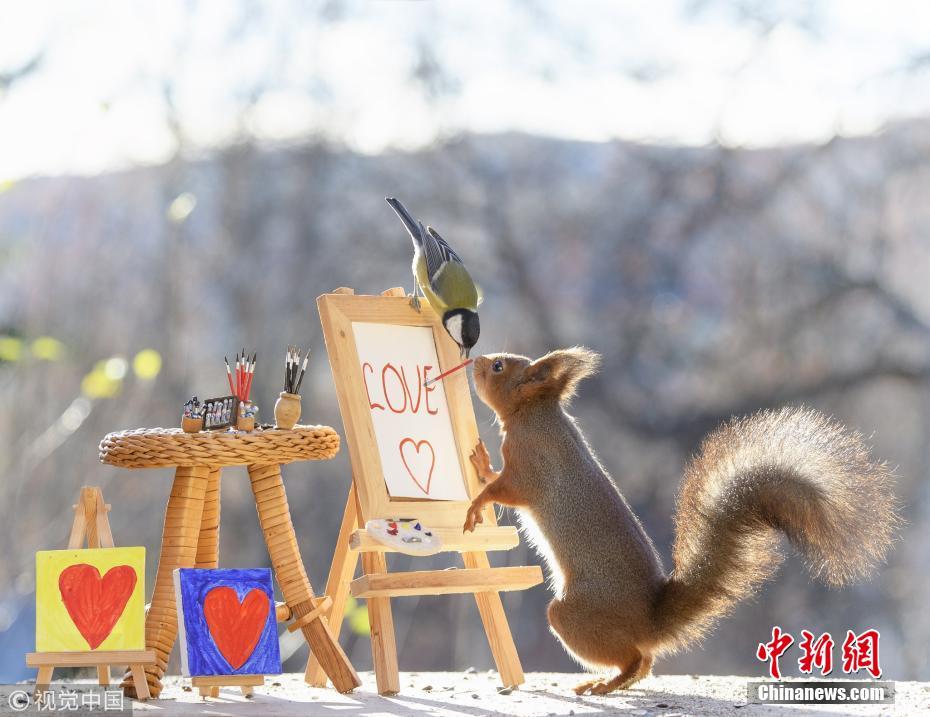 被萌到了！小松鼠變身“畫家”繪紅葉