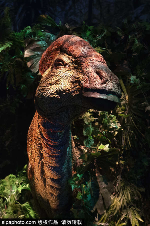 西班牙：身臨其境！《侏羅紀世界：墮落的王國》展覽在馬德里舉行