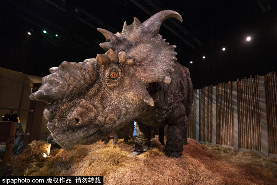 西班牙：身臨其境！《侏羅紀世界：墮落的王國》展覽在馬德里舉行