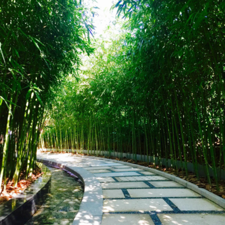 驚西之艷 西三環懋源·釣云臺售樓處正式亮相